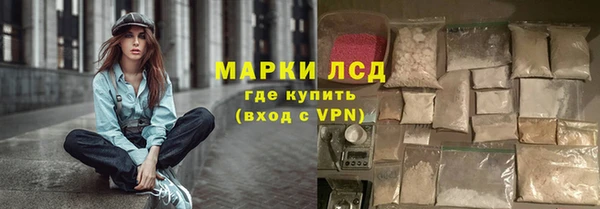 ECSTASY Аша
