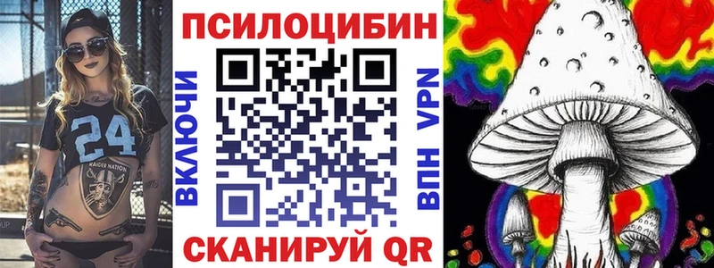 Псилоцибиновые грибы GOLDEN TEACHER  купить наркоту  Новокубанск 
