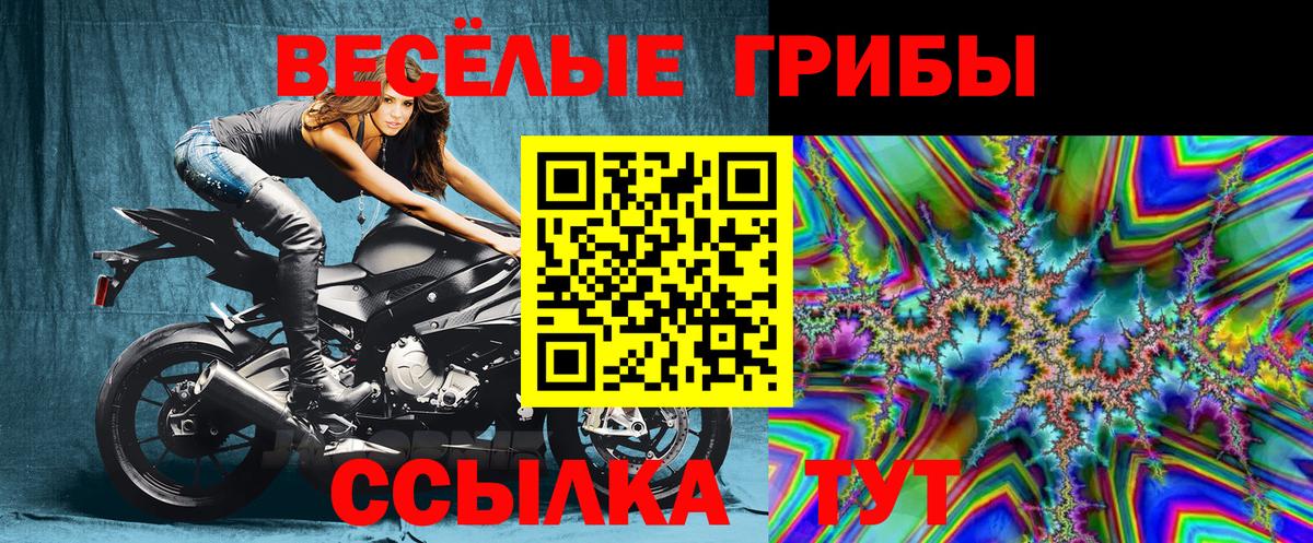 Новокубанск  Псилоцибиновые грибы Cubensis  Вход с VPN  Галлюциногенные грибы Psilocybe 